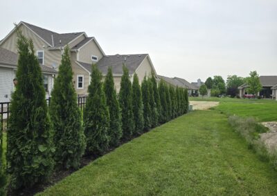 Installation of Racine privacy landscaping