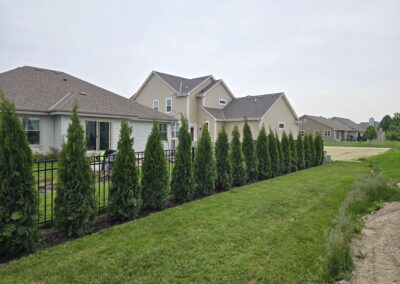 Racine privacy landscaping project