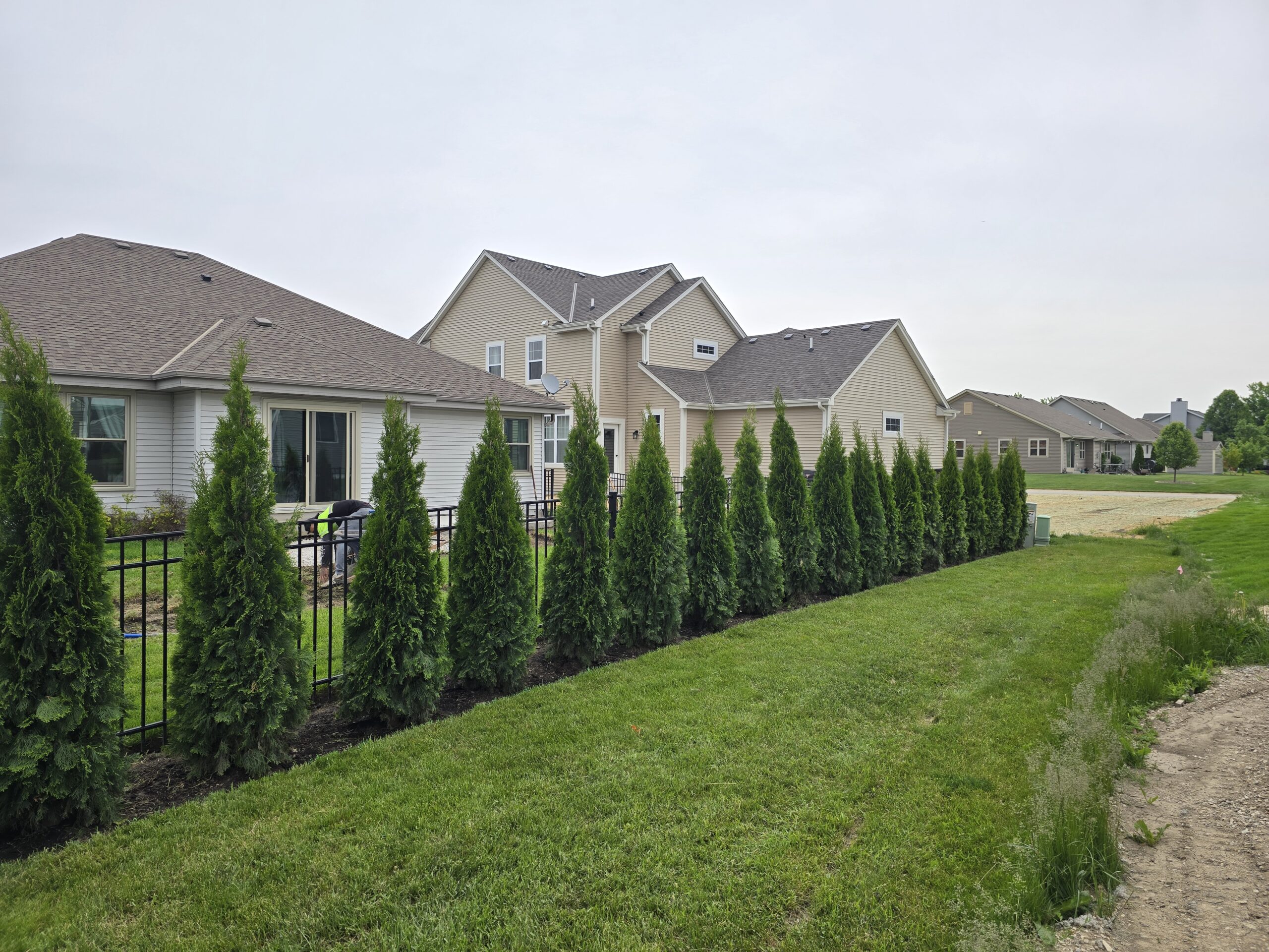 Racine privacy landscaping project